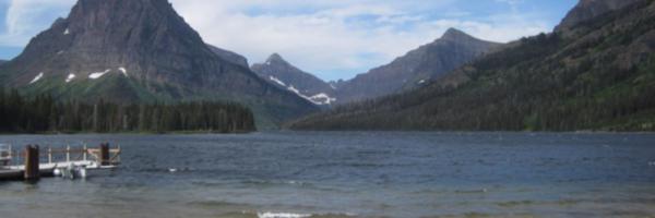 ds_horowitz Profile Banner