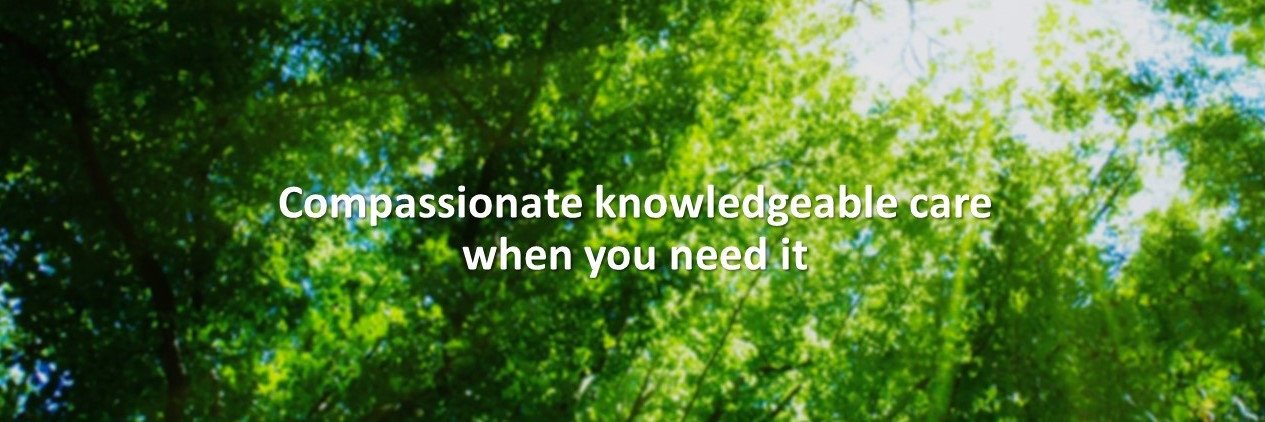 TOBrainHealth's profile banner image