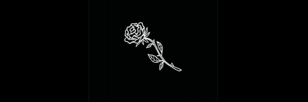 cami_abati's profile banner image