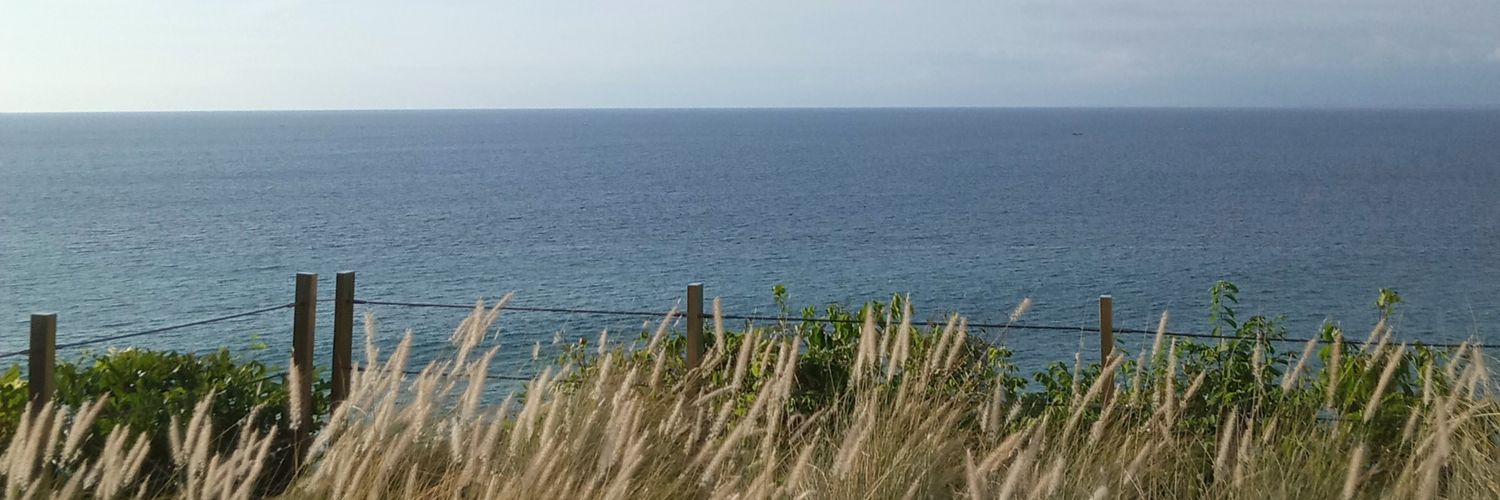 tehsemut's profile banner image