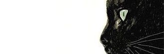 Rodrigo Vera banner
