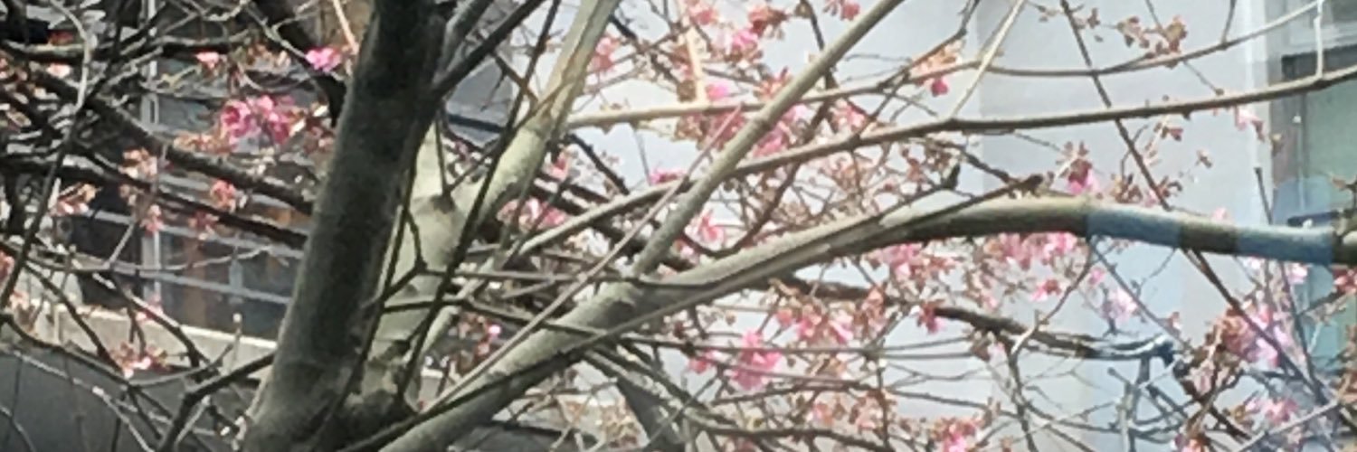 aliststager's profile banner image