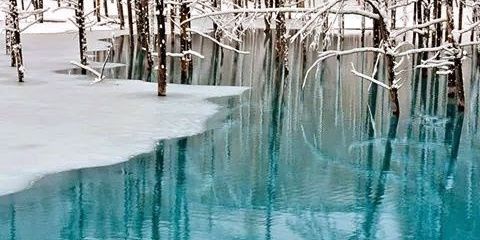 Angelagiustizia banner