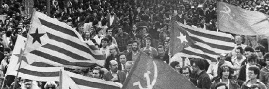 naidelpou's profile banner image