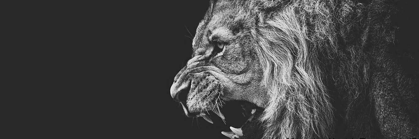 daevtan's profile banner image