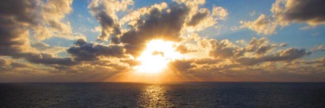 Kim Bengala Hansen banner