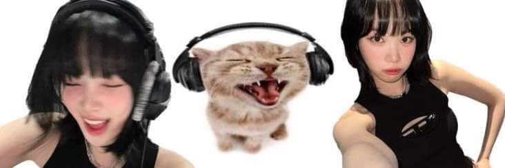 braindeadslut's profile banner image