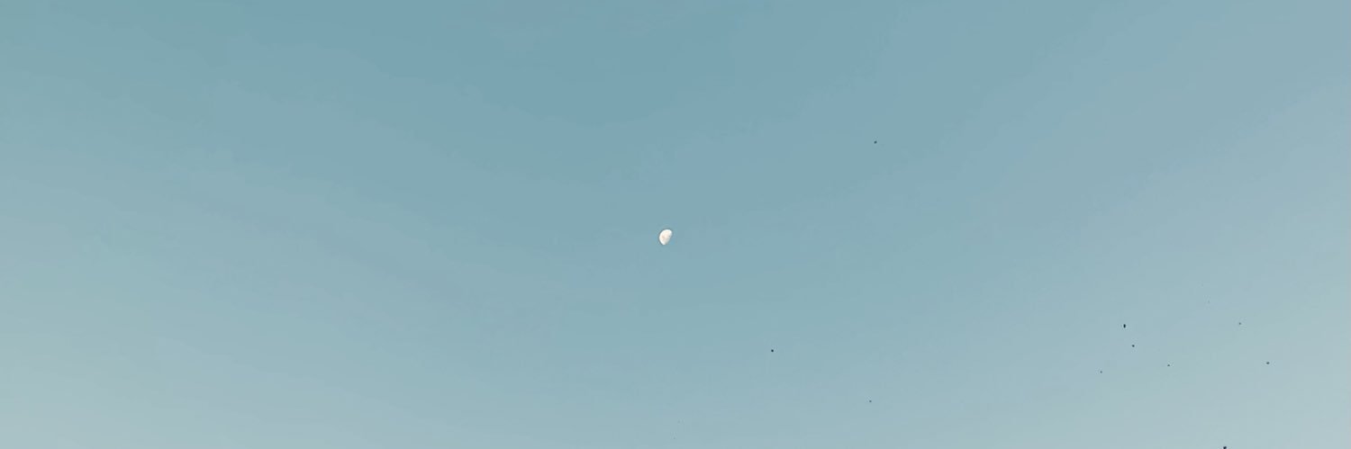 caarolpp_'s profile banner image