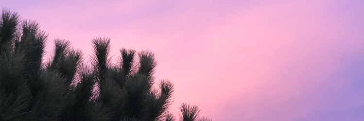 anaramossg's profile banner image