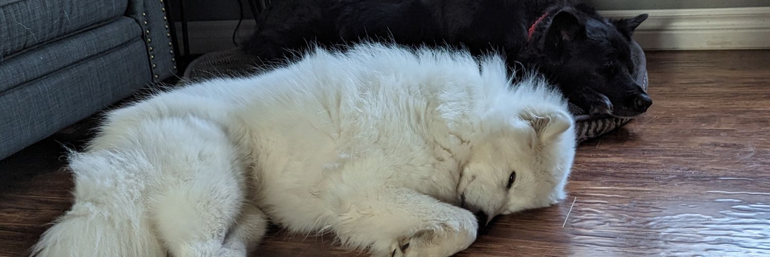 JonBlueNYellow's profile banner image