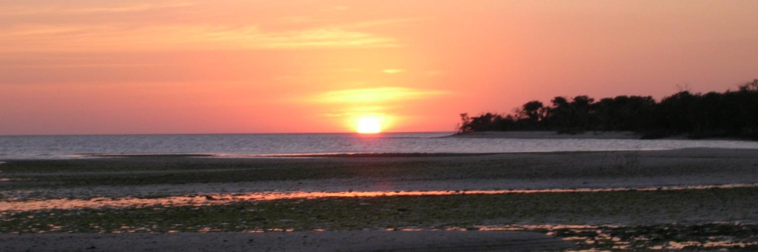 FLsharkfishing's profile banner image