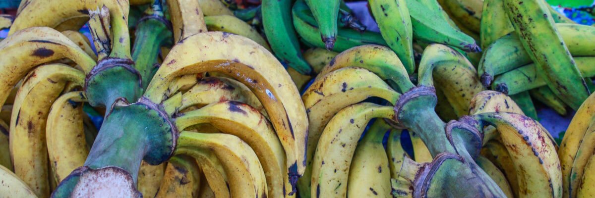 ProSocialTips's profile banner image