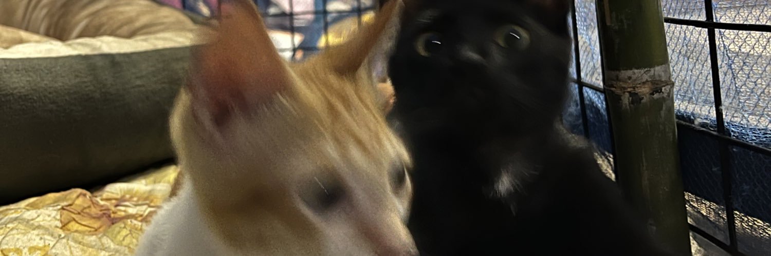 Im_PIERRE_'s profile banner image