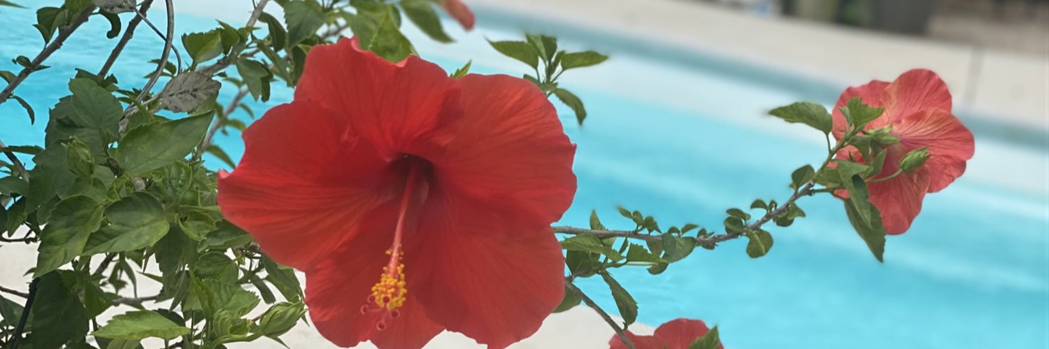 YayPink's profile banner image
