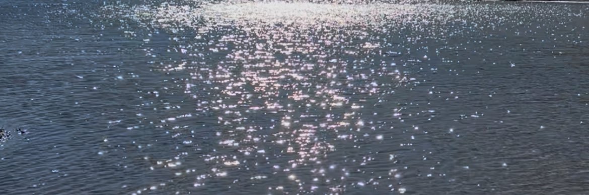 _____nmkn's profile banner image