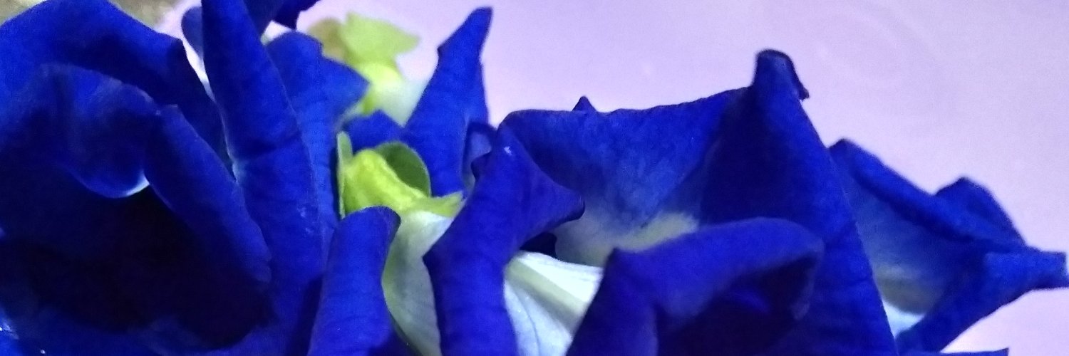 hereiamqueen's profile banner image