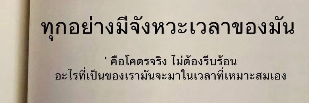 เป็นมิตรแต่กับแมว❤️🐈‍⬛ banner