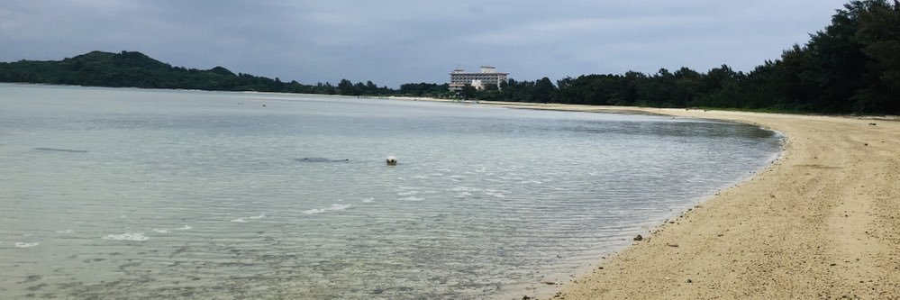 sachonga1's profile banner image