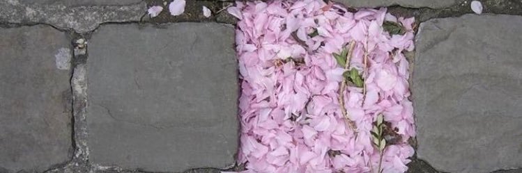 MuzisyenBi's profile banner image