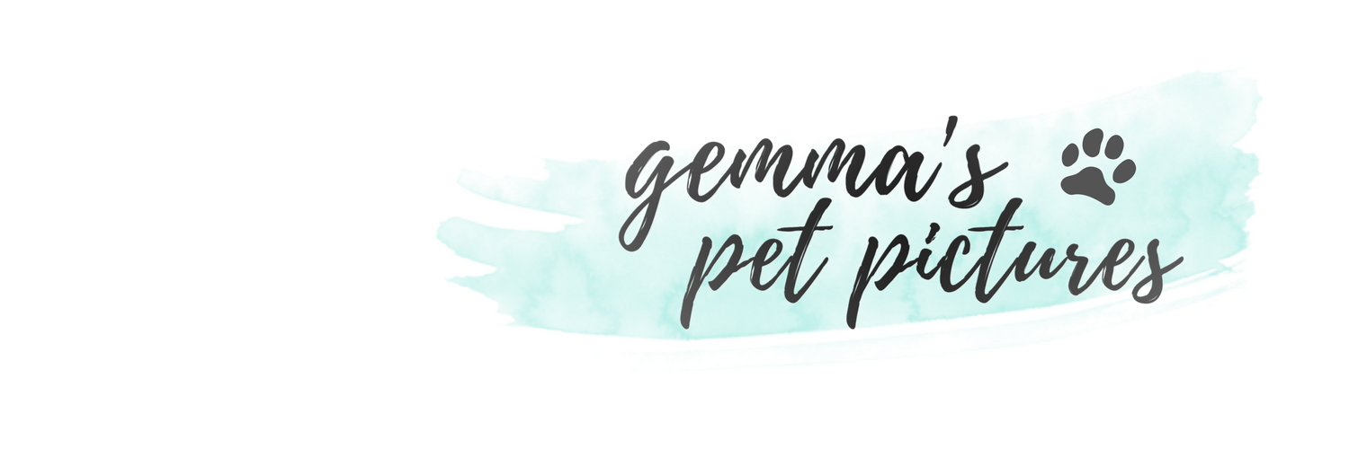 Gemma Lakin banner