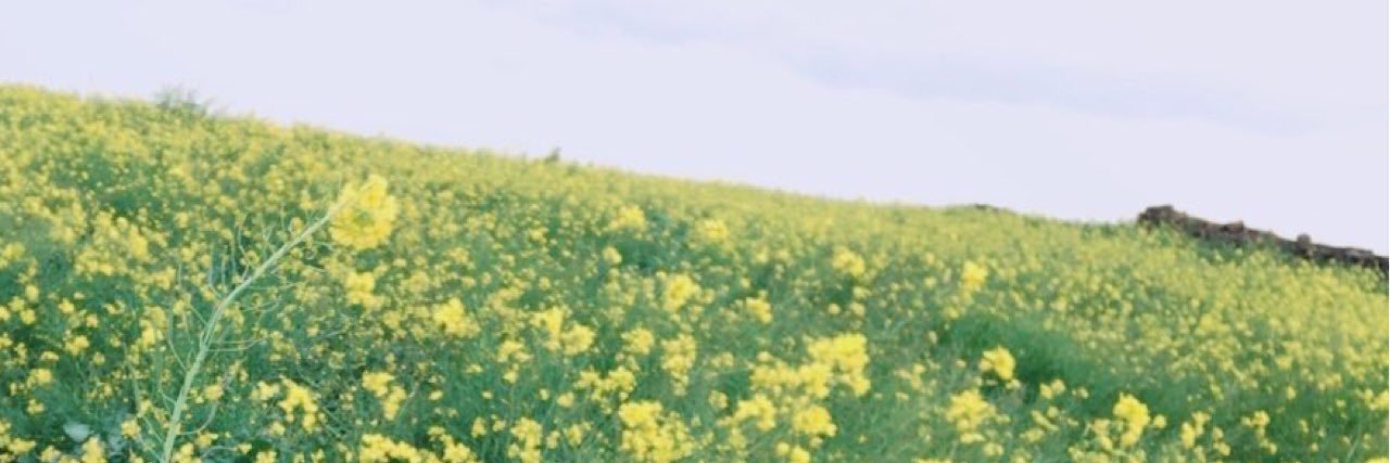 ano_1004's profile banner image