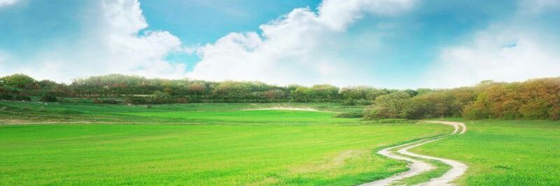 oncedenkalan's profile banner image