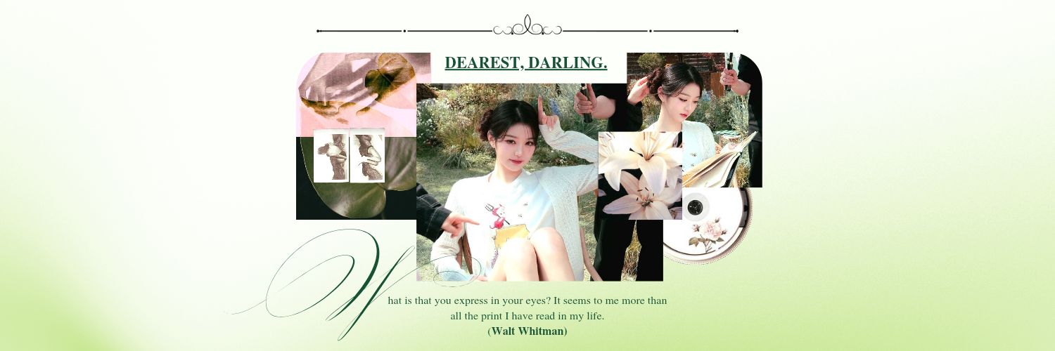 cattologue's profile banner image
