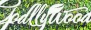 veronica_te_co's profile banner image