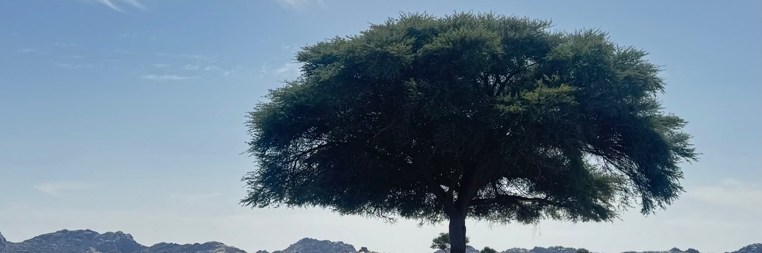 عبدالعزيز بن مهنا الجهني banner