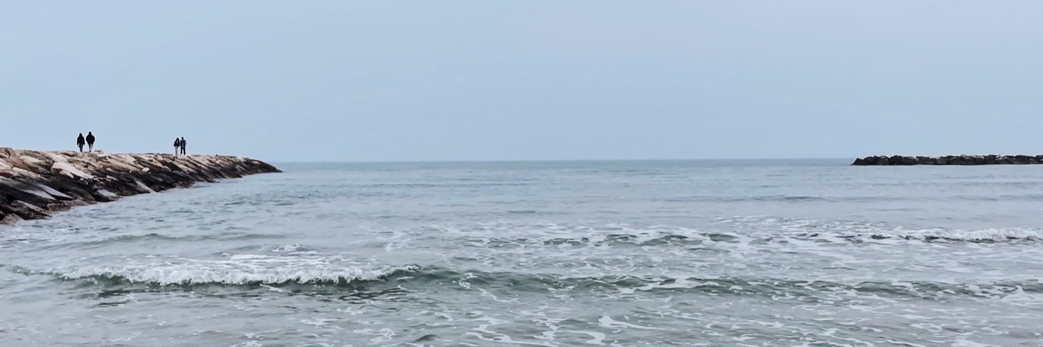 shiebocobo's profile banner image