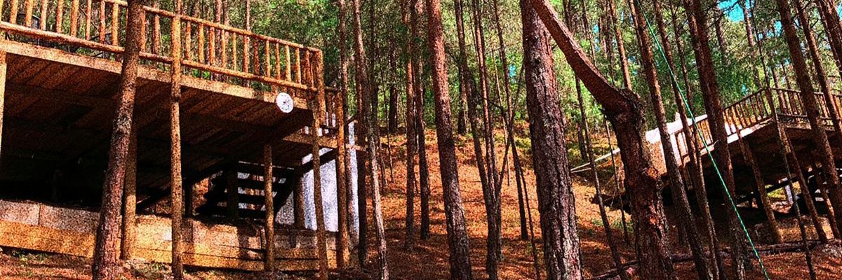 Jazmintuflor's profile banner image