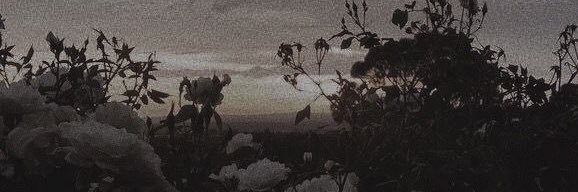 skeletonj3lly's profile banner image