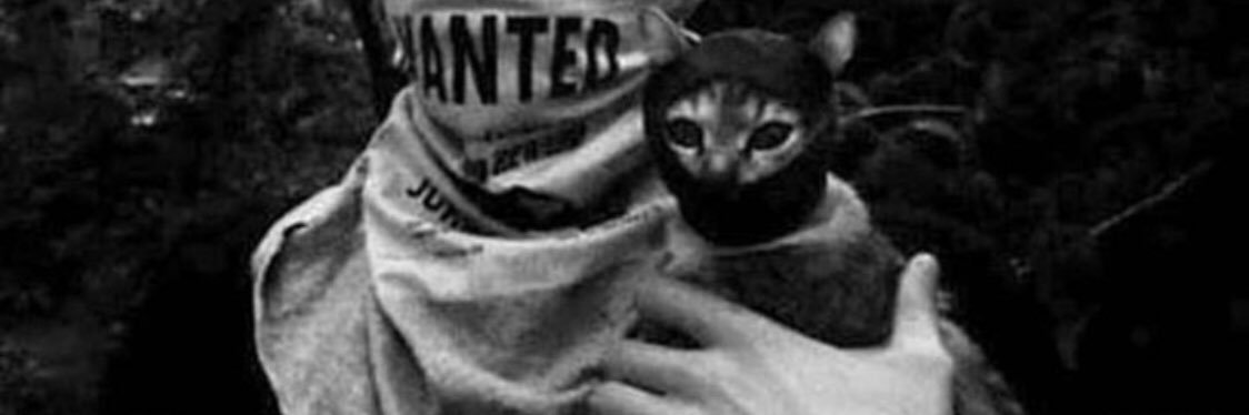 cargurcik's profile banner image