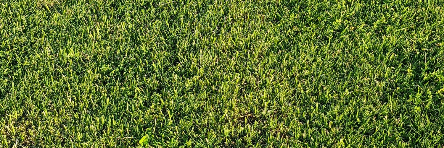 farnaldi_'s profile banner image