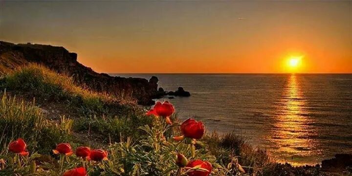 abo_mohand0's profile banner image