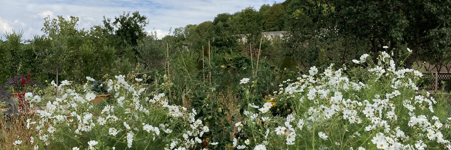 Anne 🐰🌻🕊🍁 banner