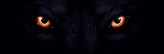ochannkk's profile banner image
