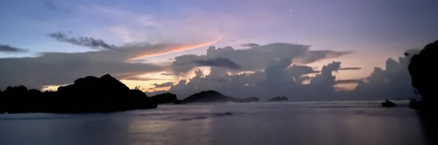 deviyanida's profile banner image
