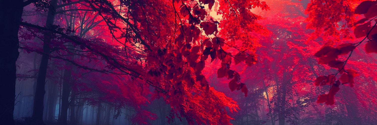 Makisani_'s profile banner image