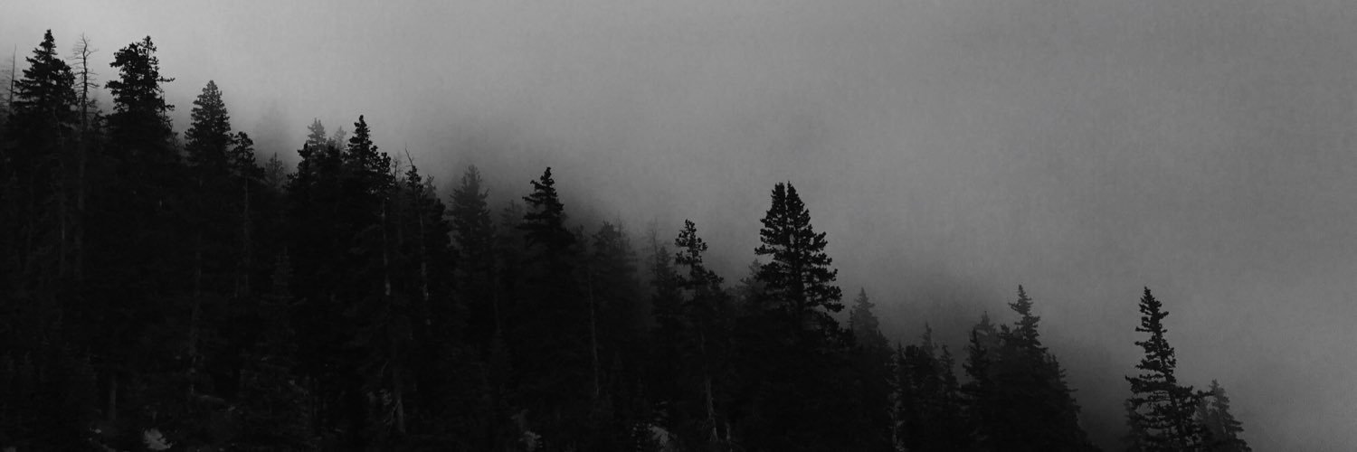 SchoelSarah's profile banner image