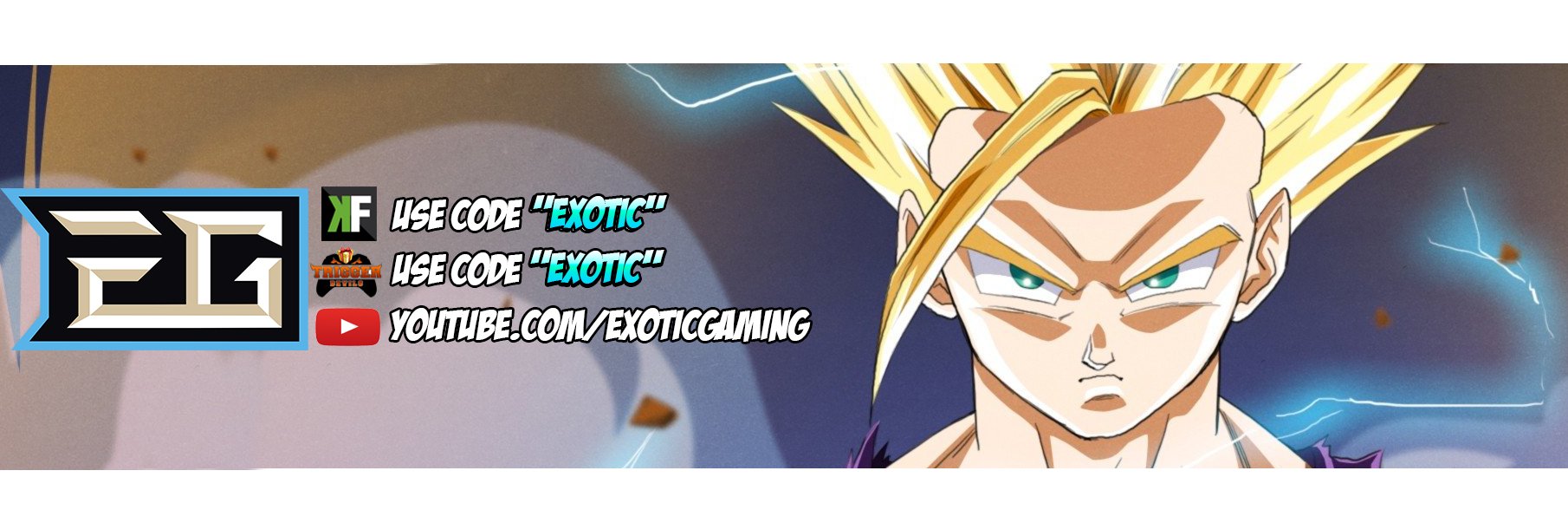 ExoTicGamingLLC's profile banner image