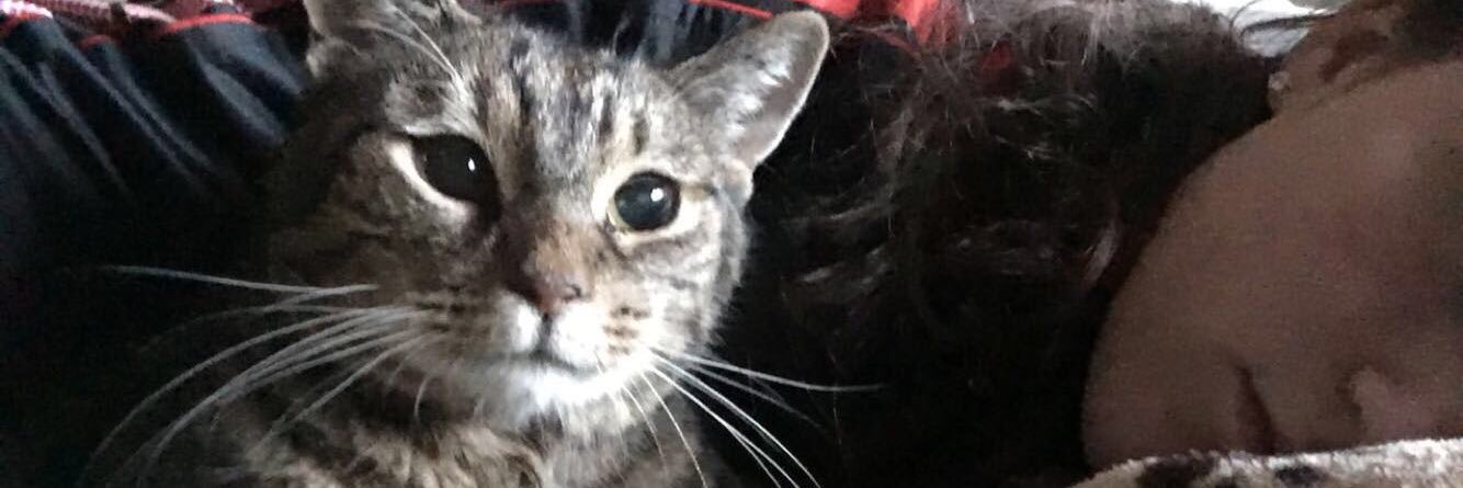 AblackAllyson's profile banner image