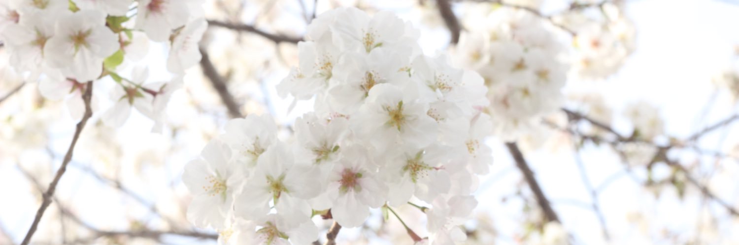 s_aaa_e_0523's profile banner image