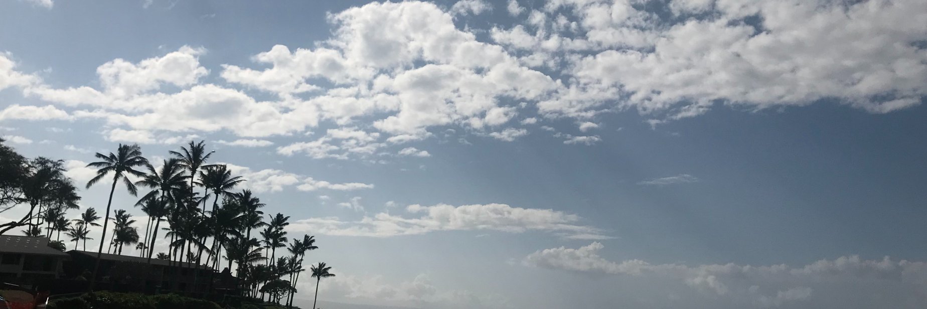 emiliakaplan's profile banner image