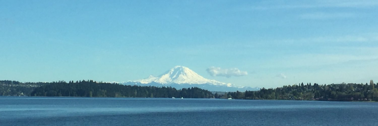 kelsey mesher banner