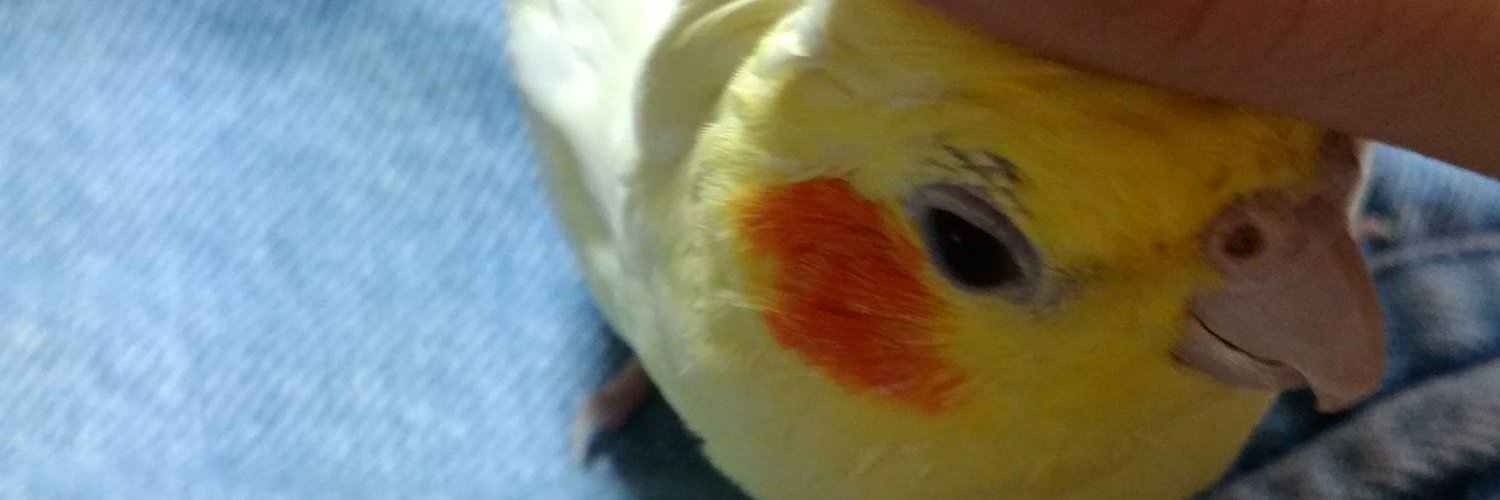 adowacrane's profile banner image