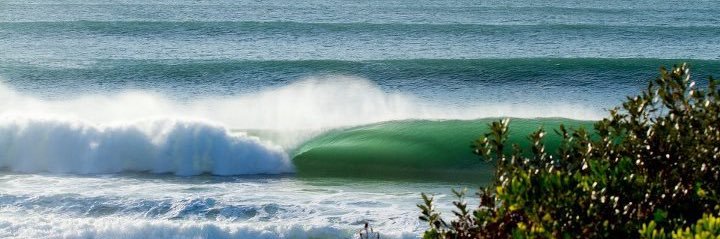 samuel_king_6's profile banner image