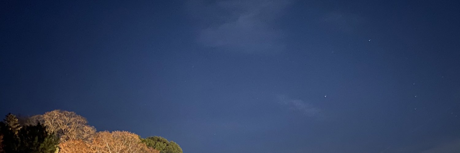 RUIStheREAL's profile banner image