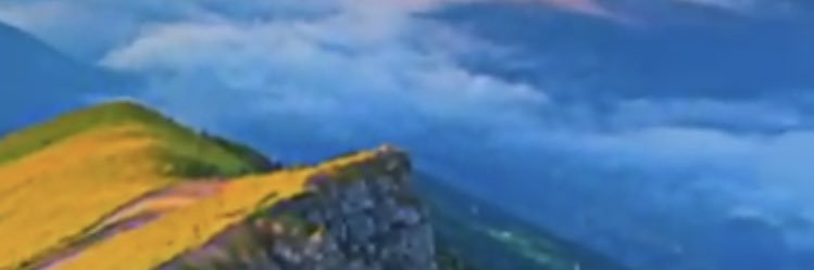 silami2022's profile banner image