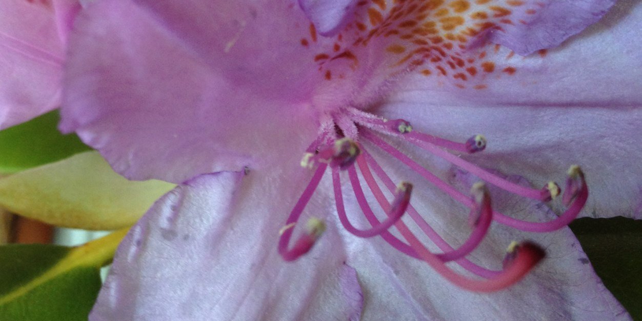 Gitte Agerhus banner